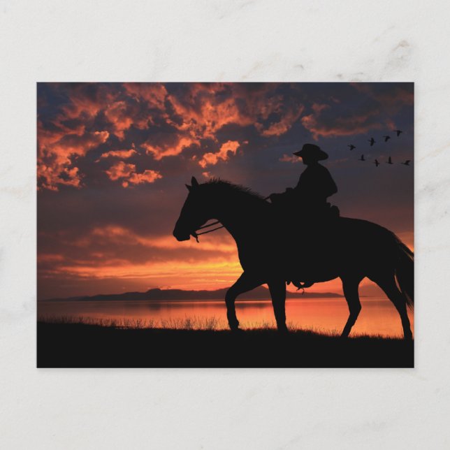 Cowboy Sunset Vykort (Framsida)