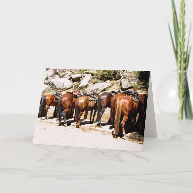 Cowboy Up, få snart kort (Framsida)