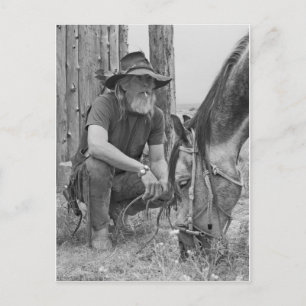 Cowboy Vykort