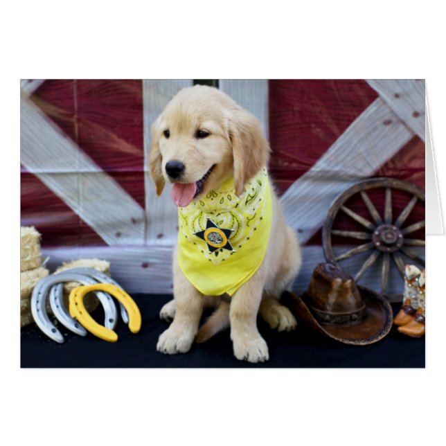 CowboyAbby kort (Framsidan Horizontal)