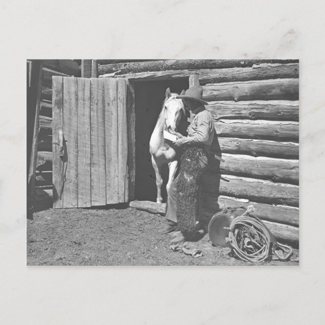 Cowboyen läser en brev. vykort (Framsida)