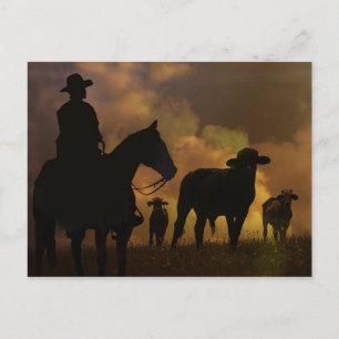 Cowboyen och Steers Dusty Sunset Land Western Vykort