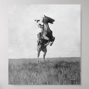 Cowboyen rider broncoen poster