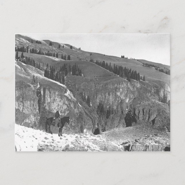 Cowboyen skildes från sin besättning. vykort (Framsida)