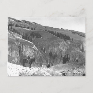 Cowboyen skildes från sin besättning. vykort