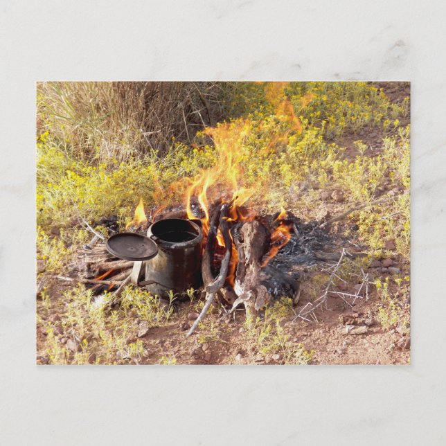 Cowboykaffe i Dolan Vår, Arizona Vykort (Framsida)