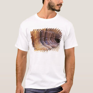 Cowboykängor 3 tee