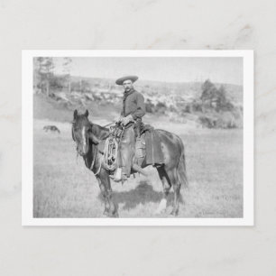 Cowboyon på hans Horse PhotographSouth Dakota Vykort