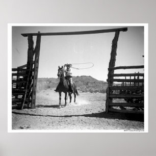 Cowboyroping Poster