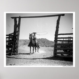 Cowboyroping Poster