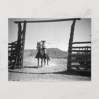 Cowboyroping Vykort