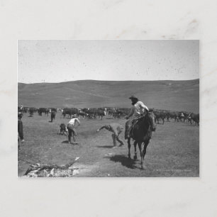 Cowboys branding vykort