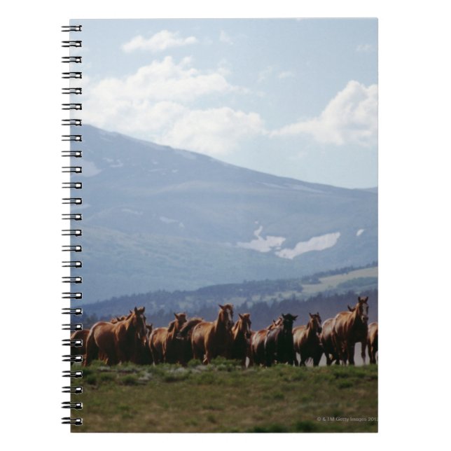 Cowboys flytta herd of Häst Anteckningsbok Med Spiral (Framsidan)
