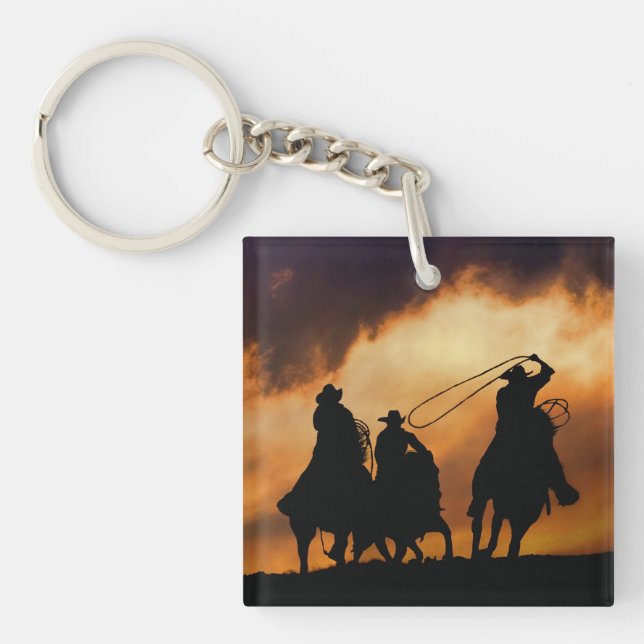 Cowboys Horses Roping Rodeo (Framsidan)