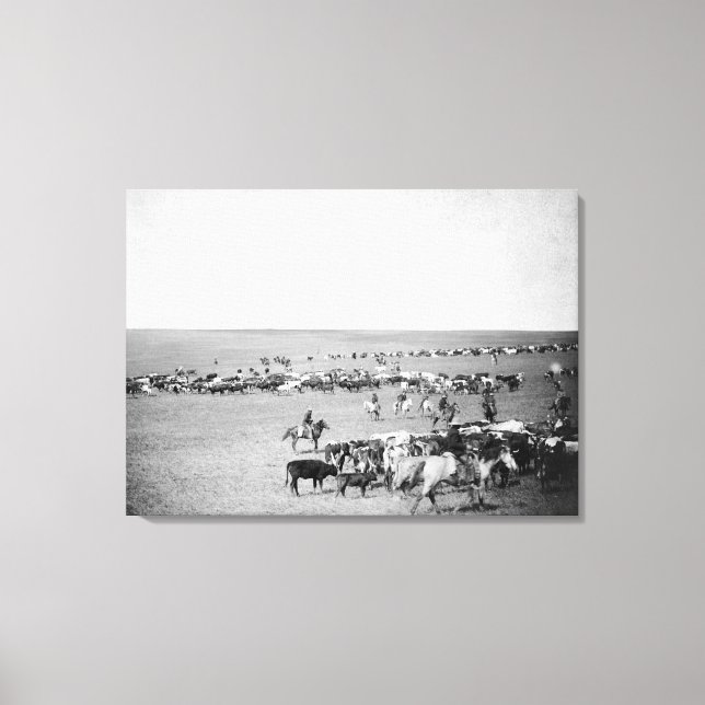 Cowboys med boskap på intervallfoto canvastryck (Framsida)