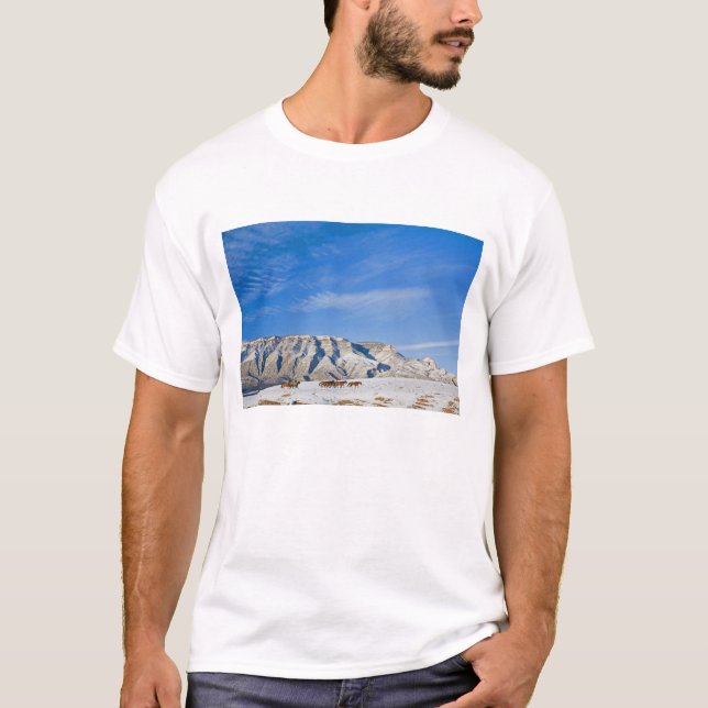 Cowboys med hjord av hästar tee shirt (Framsida)