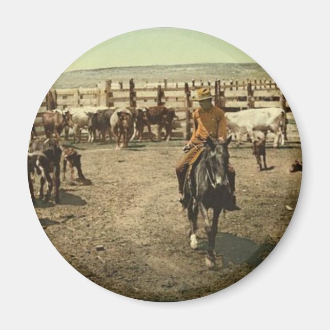 Cowboys och Cows Magnet (Framsidan)
