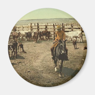 Cowboys och kor magnet