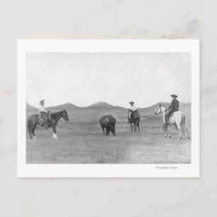 Cowboys på Horses Roping Buffalo Photograph Vykort