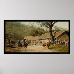 Cowboys på mexicansk plantage 1890 poster