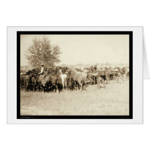 Cowboys Roping a Herd of Horses SD 1887 Hälsningskort