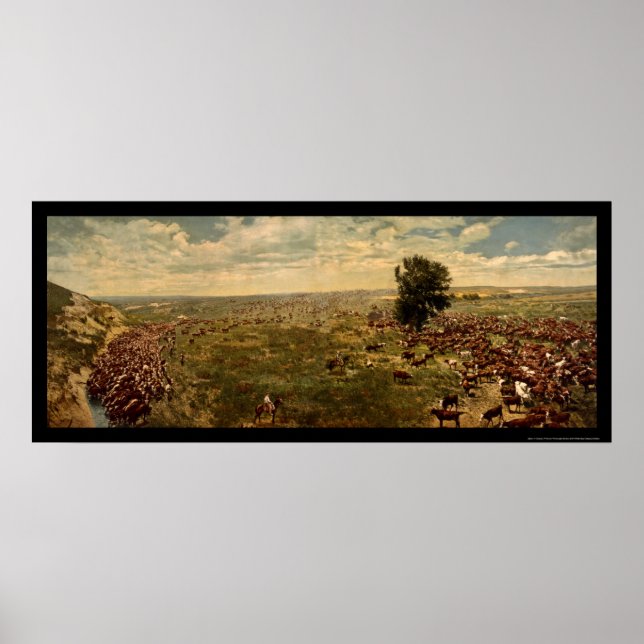 Cowboys Rounding Up Cattle 1912 Poster (Framsidan)