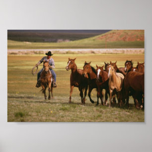 Cowboys Samlare vid Ranch Poster