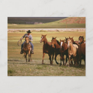 Cowboys Samlare vid Ranch Vykort