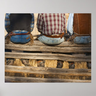 Cowboys sitta på stängslet poster