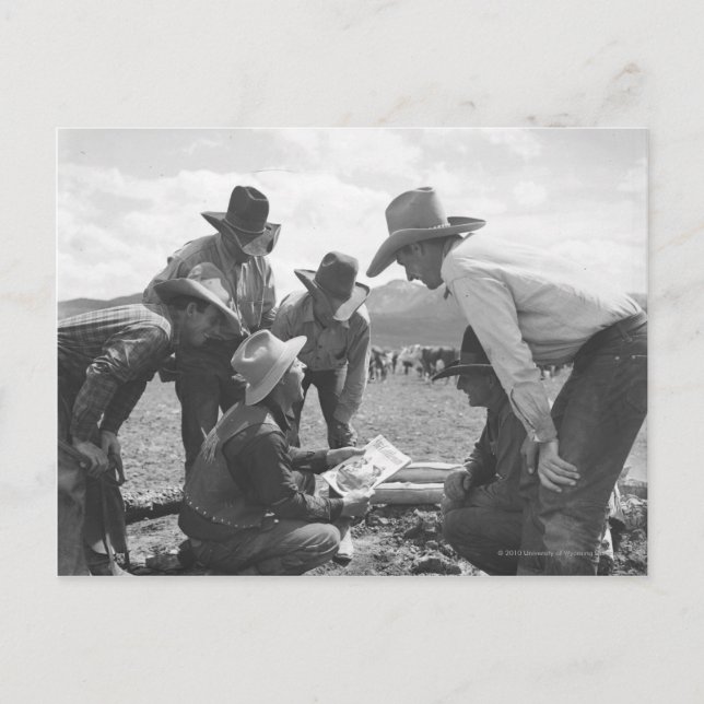 Cowboys tittar en tidskrift vykort (Framsida)