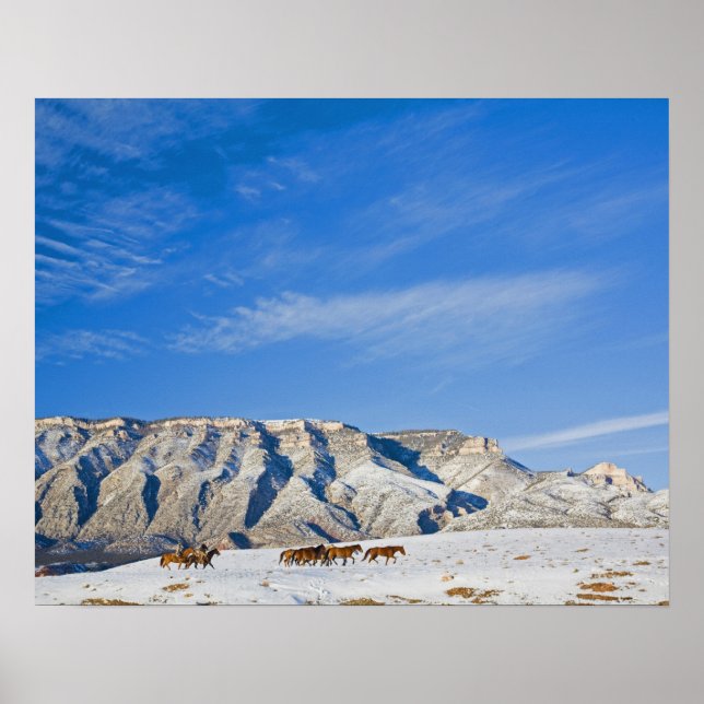 Cowboys with Heard of Horses Poster (Framsidan)