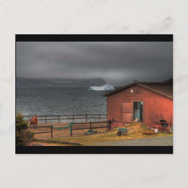 Cowboyvägen Vykort (Framsida)