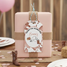 Cowgirl 1st Rodeo 1st Birthday