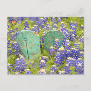 COWGIRL BOOTS VYKORT