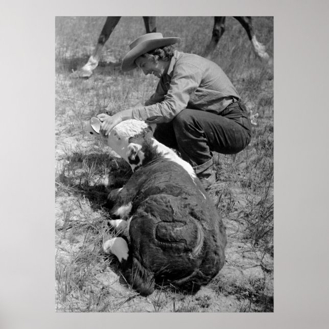 Cowgirl Ge TLC, 1930-talet Poster (Framsidan)