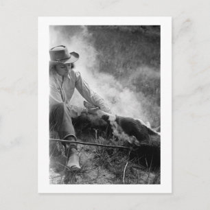 Cowgirl som brottas med en kalv, 1930-talet vykort