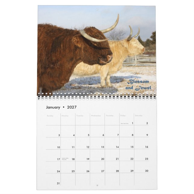 CowGirlkalender 2011 Kalender (Jan 2027)