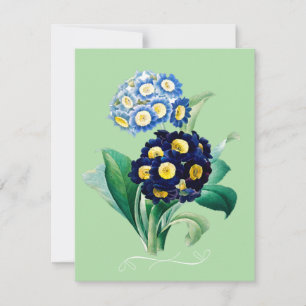 Cowgla Primrose Botanical Julkort