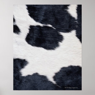 Cowhidetryckaffisch Poster