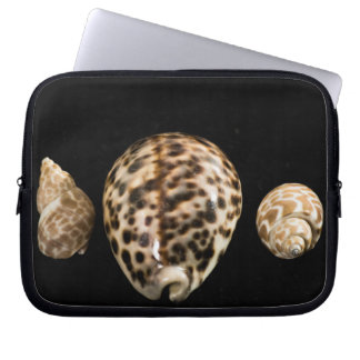 Cowrie Cones 2 Laptop sleeve
