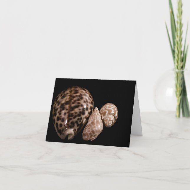 Cowrie Cones Card Kort (Framsida)