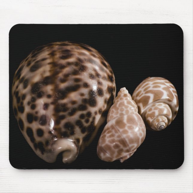 Cowrie Cones Mousepad Musmatta (Framsidan)