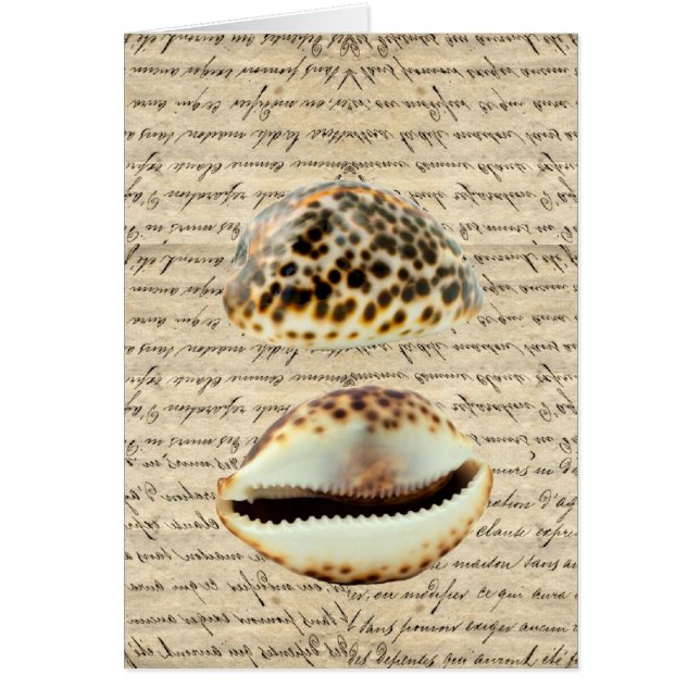 Cowrie snäckas hälsningskort (Framsidan)