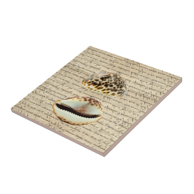 Cowrie snäckas kakelplatta (Sidan)