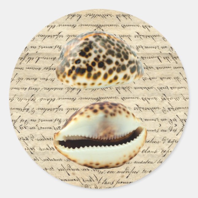 Cowrie snäckas runt klistermärke (Framsida)