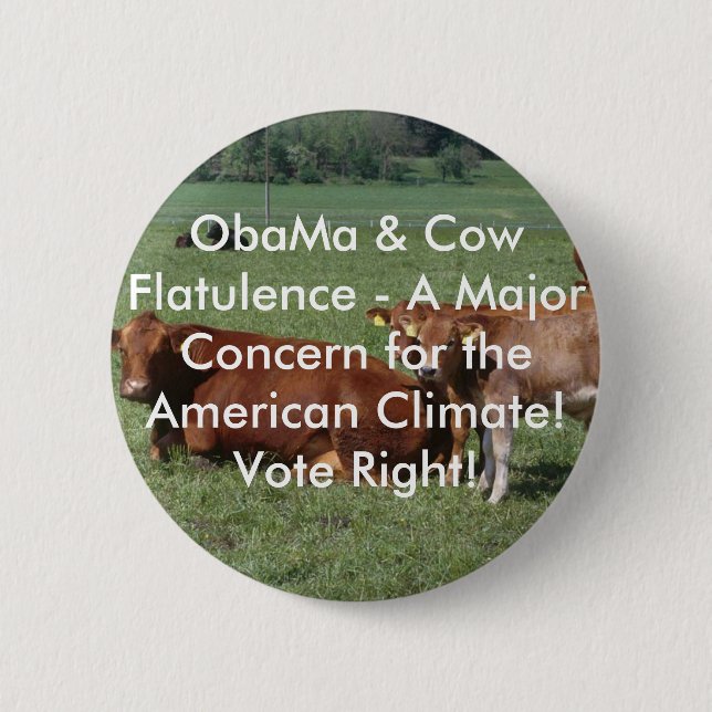 cows--19rq, ObaMa & koFlatulence - en ha som Knapp (Framsida)