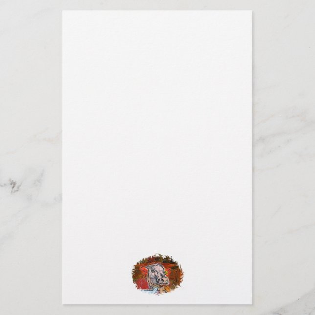 COWS BREVPAPPER (Framsida)