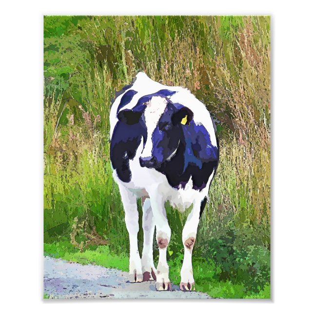 COWS FOTOTRYCK (Framsidan)