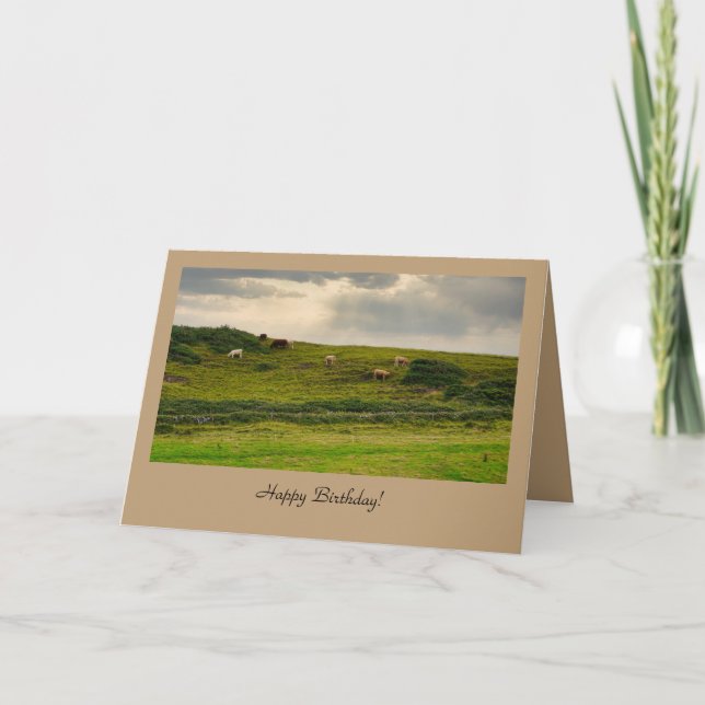 Cows in Pasture Birthday Greeting Card  Kort (Framsida)