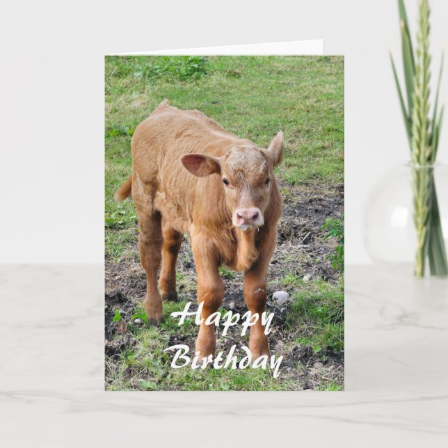 COWS KORT (Framsida)